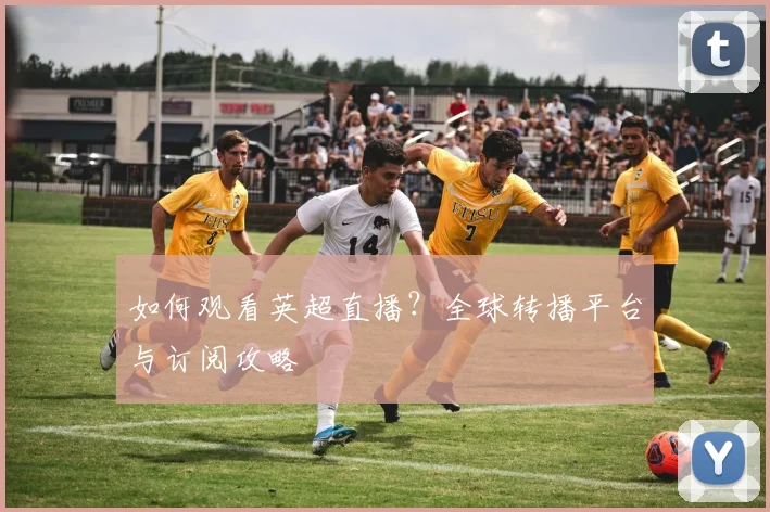 如何观看英超直播？全球转播平台与订阅攻略