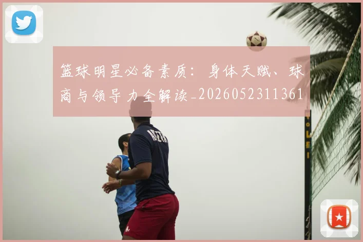篮球明星必备素质：身体天赋、球商与领导力全解读_20260523113615